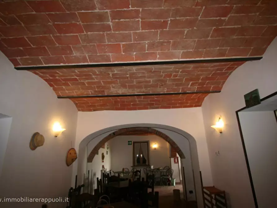 Immagine 15 di Rustico / casale in vendita  a Sinalunga