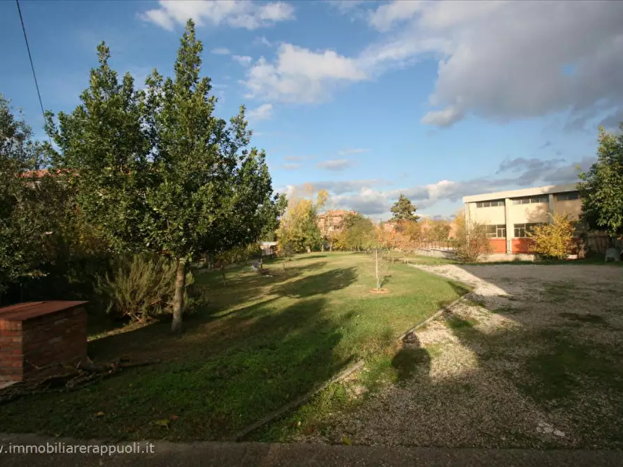 Immagine 1 di Terreno in vendita  a Torrita Di Siena