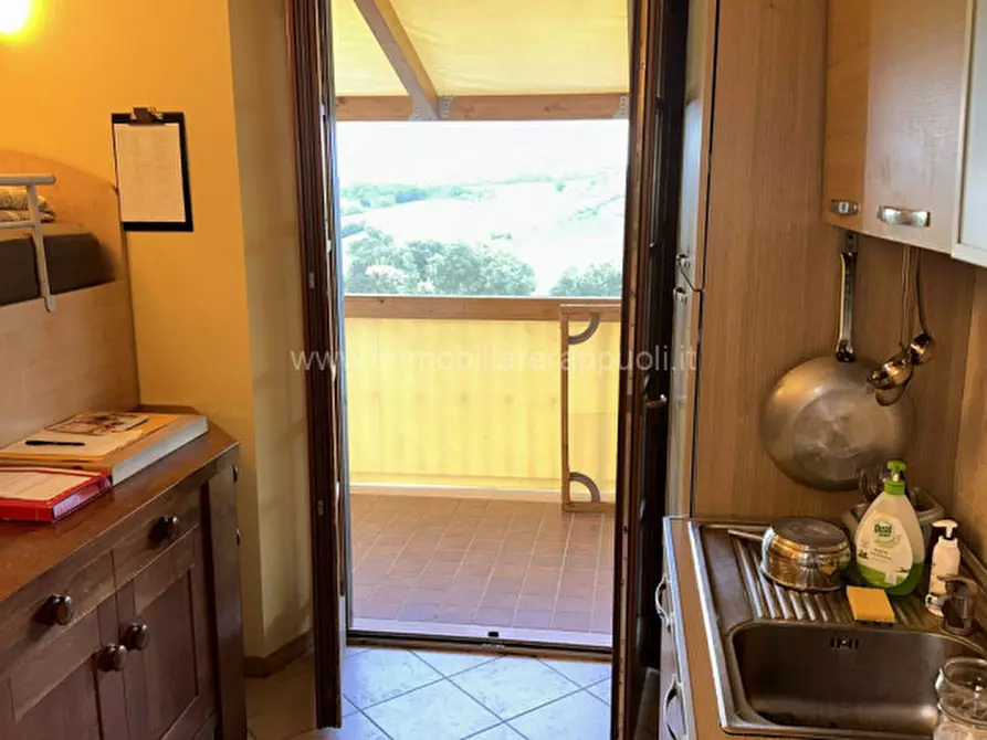 Immagine 11 di Appartamento in vendita  a Torrita Di Siena