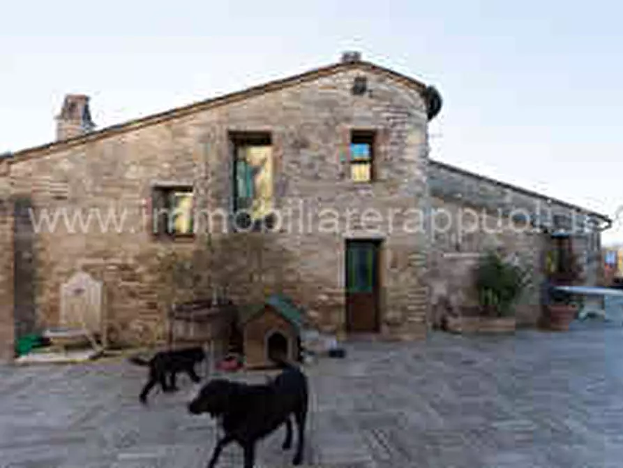 Immagine 3 di Rustico / casale in vendita  a Asciano