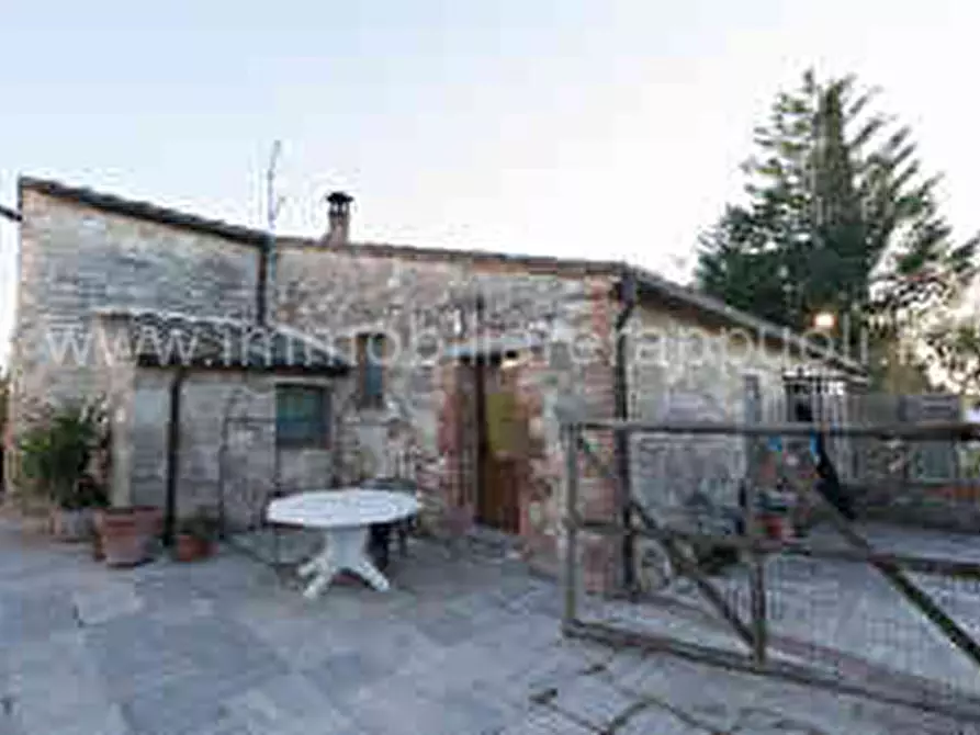Immagine 4 di Rustico / casale in vendita  a Asciano