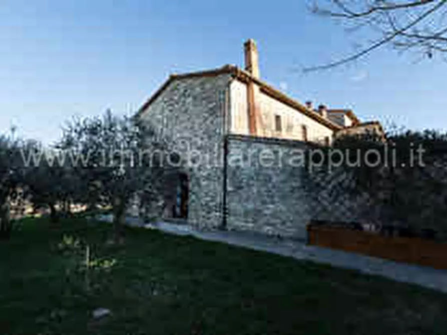 Immagine 5 di Rustico / casale in vendita  a Asciano