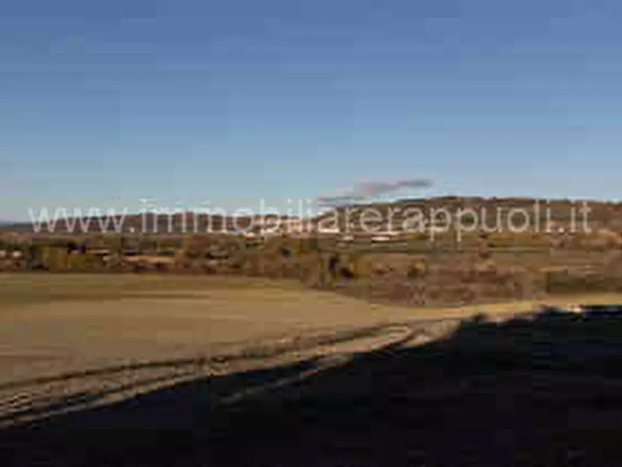 Immagine 6 di Rustico / casale in vendita  a Asciano