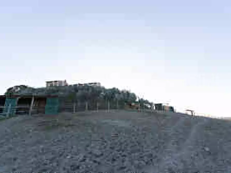 Immagine 7 di Rustico / casale in vendita  a Asciano