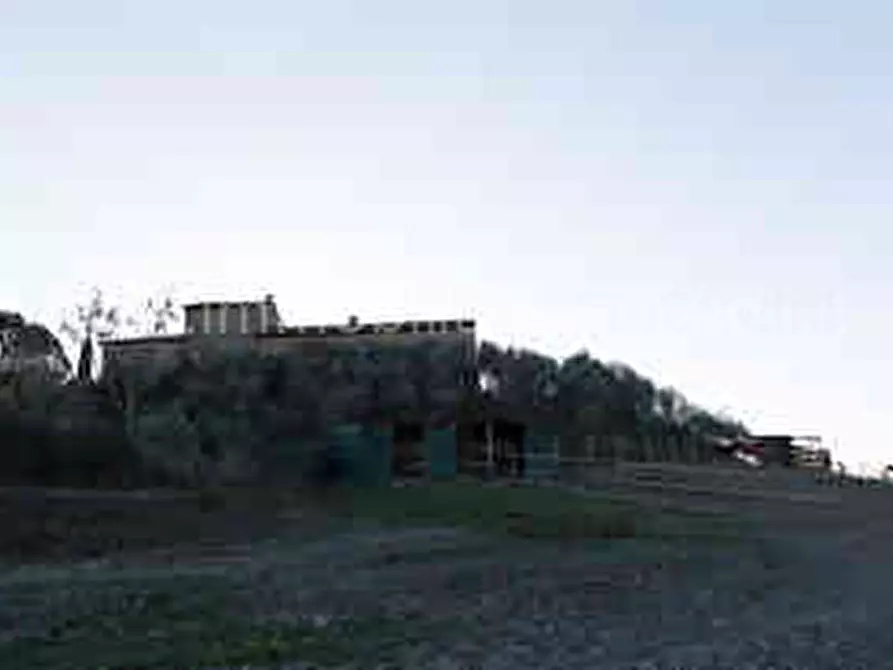 Immagine 8 di Rustico / casale in vendita  a Asciano