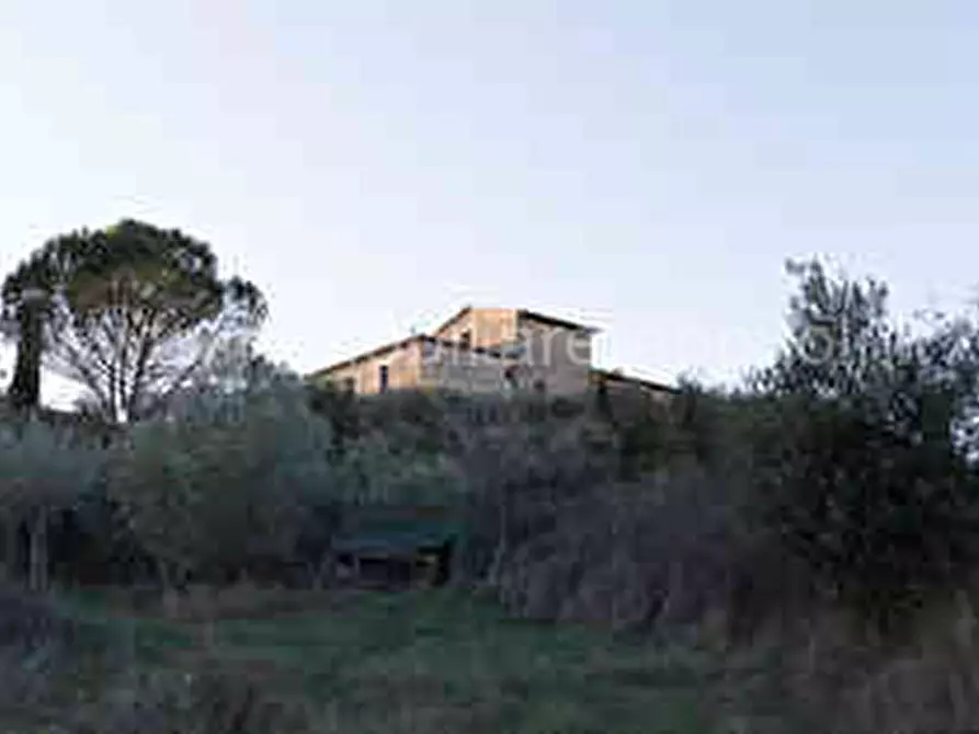 Immagine 9 di Rustico / casale in vendita  a Asciano