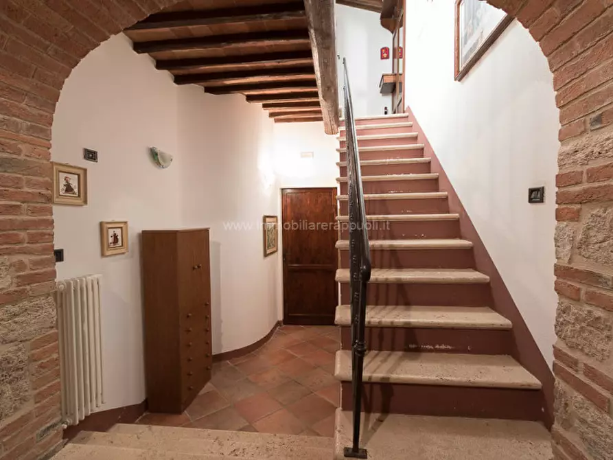 Immagine 13 di Rustico / casale in vendita  a Asciano