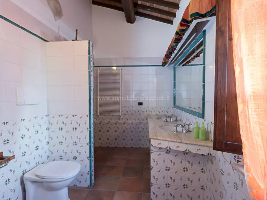 Immagine 22 di Rustico / casale in vendita  a Asciano