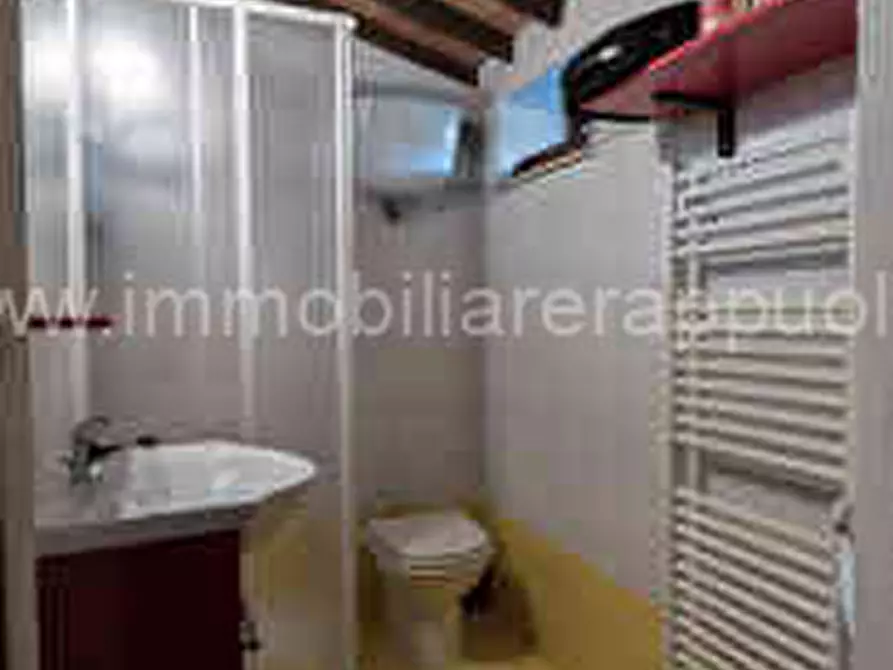 Immagine 24 di Rustico / casale in vendita  a Asciano