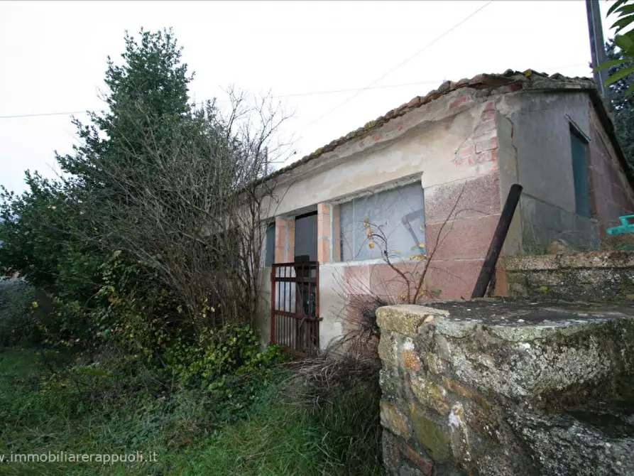 Immagine 5 di Casa indipendente in vendita  a Sinalunga