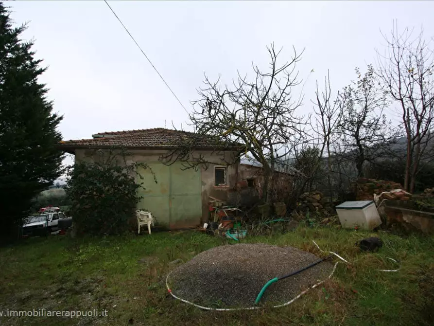 Immagine 7 di Casa indipendente in vendita  a Sinalunga