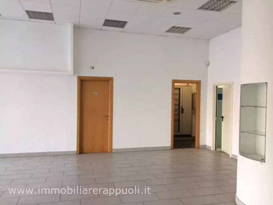 Immagine 2 di Capannone industriale in vendita  a Sinalunga