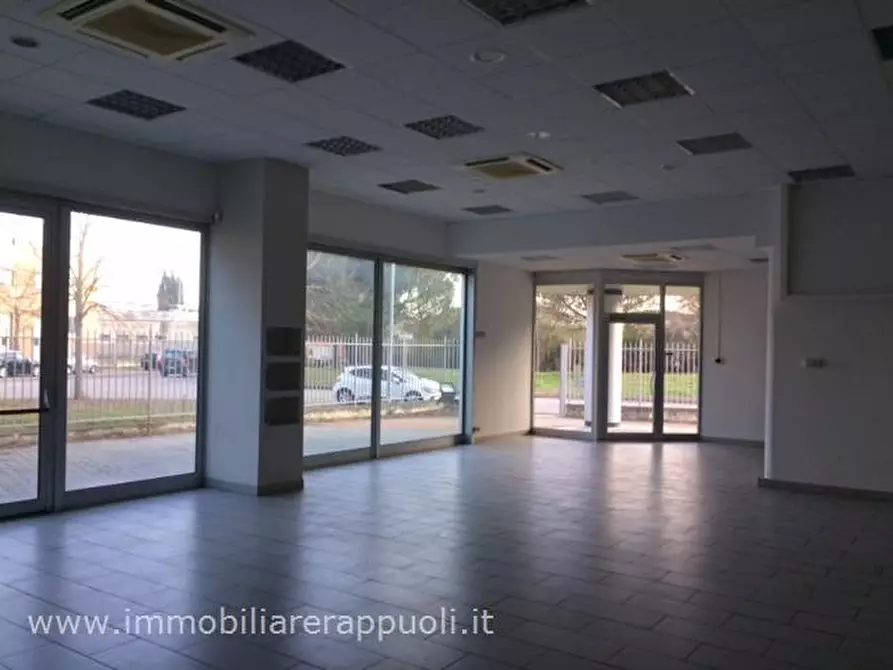 Immagine 4 di Capannone industriale in vendita  a Sinalunga