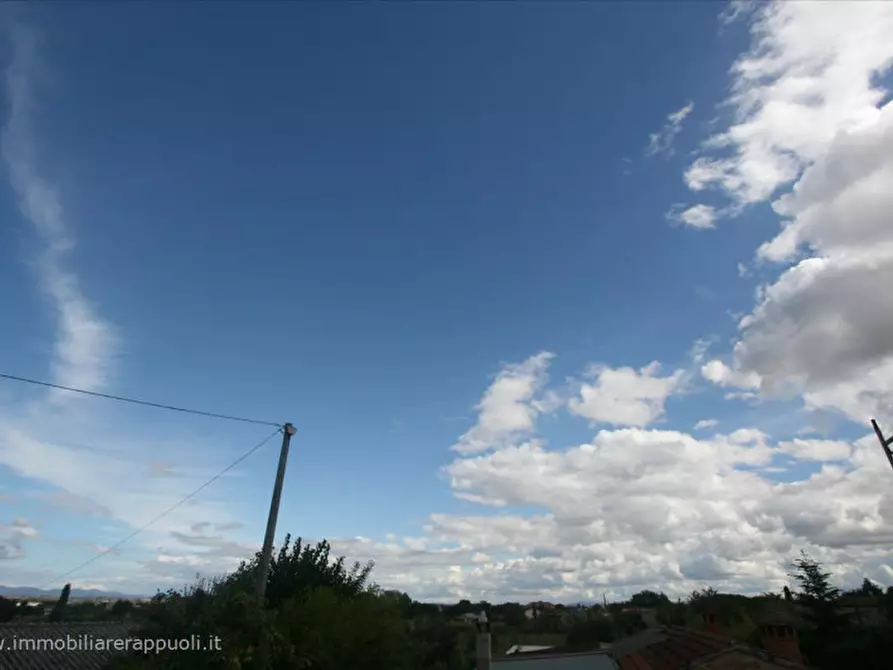 Immagine 10 di Casa indipendente in vendita  a Torrita Di Siena