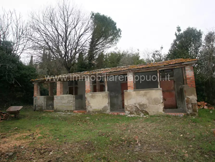 Immagine 2 di Rustico / casale in vendita  a Cetona