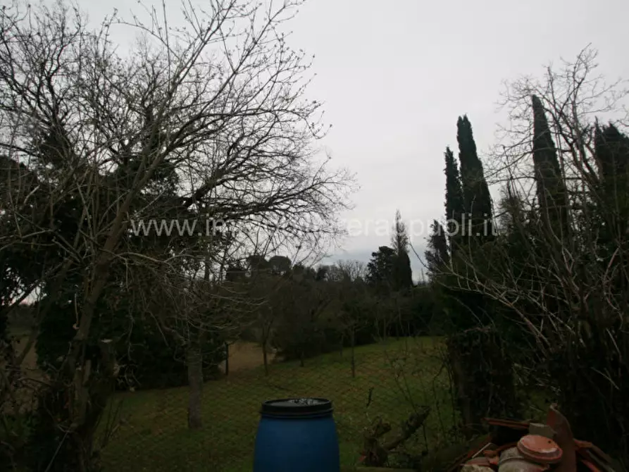 Immagine 3 di Rustico / casale in vendita  a Cetona