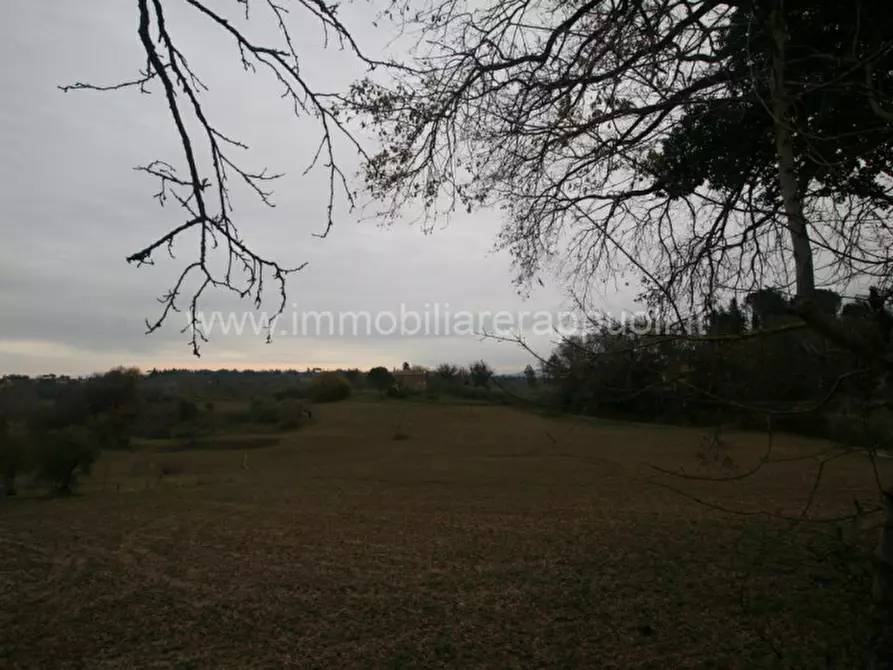 Immagine 5 di Rustico / casale in vendita  a Cetona