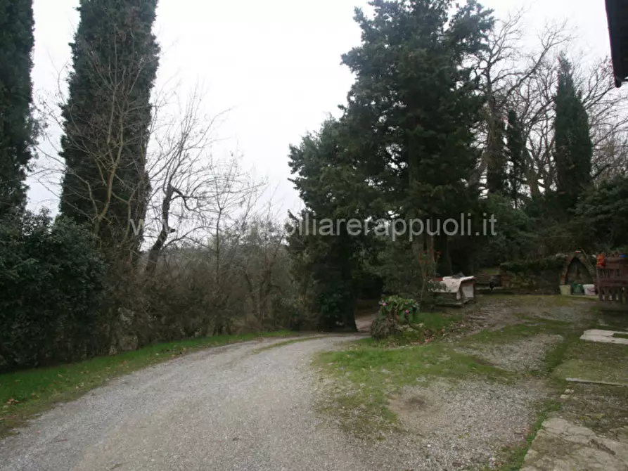 Immagine 6 di Rustico / casale in vendita  a Cetona