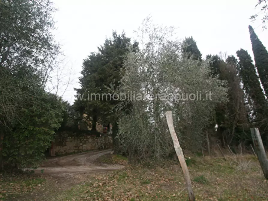 Immagine 8 di Rustico / casale in vendita  a Cetona