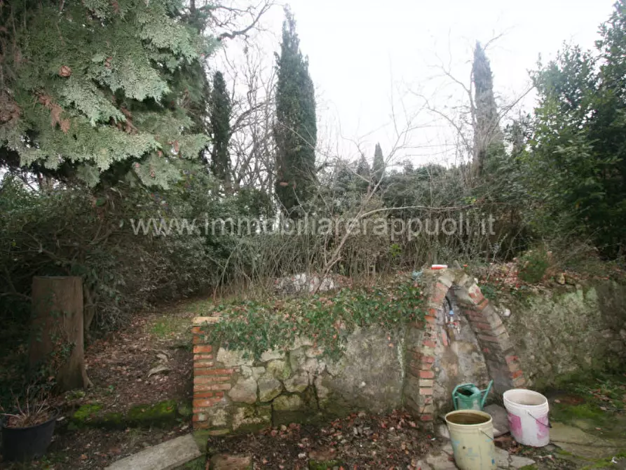 Immagine 11 di Rustico / casale in vendita  a Cetona