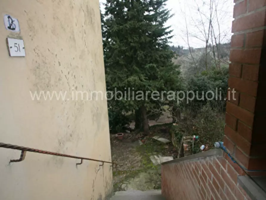 Immagine 12 di Rustico / casale in vendita  a Cetona