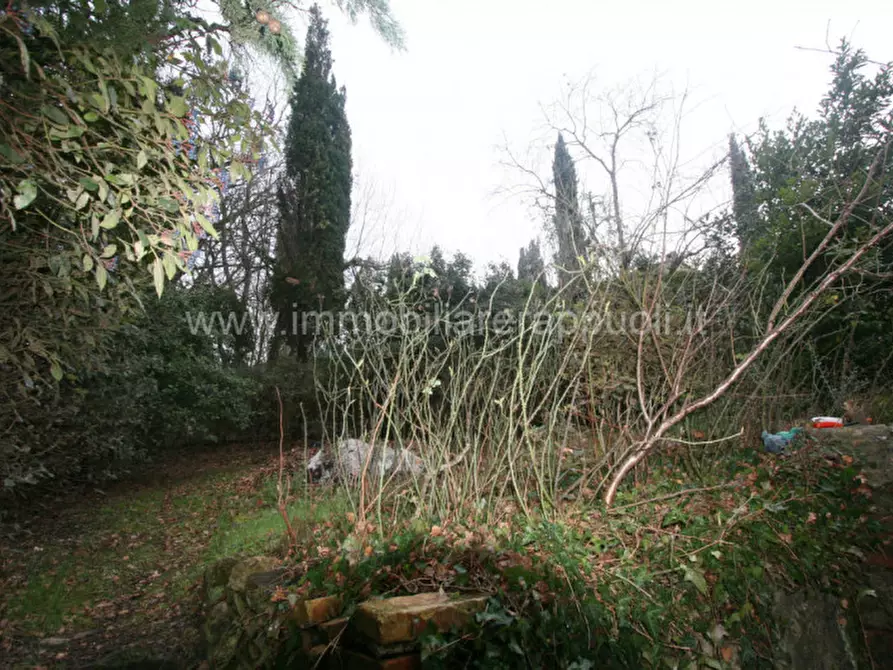 Immagine 20 di Rustico / casale in vendita  a Cetona