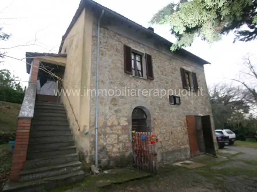 Immagine 21 di Rustico / casale in vendita  a Cetona