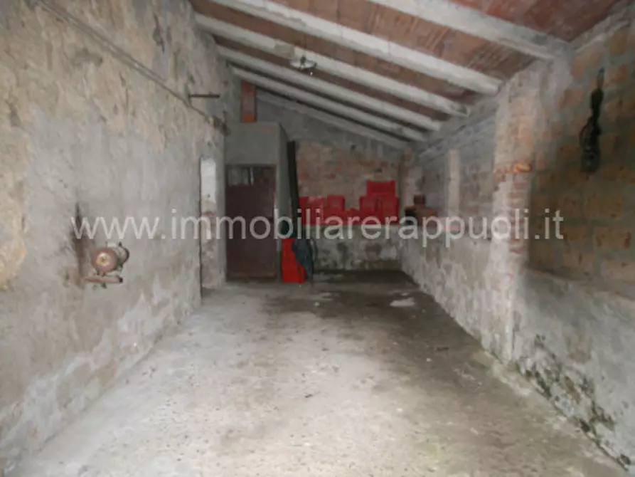 Immagine 23 di Rustico / casale in vendita  a Cetona