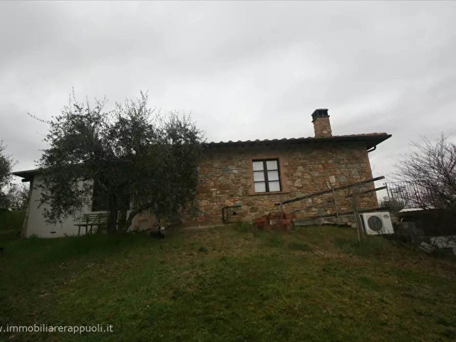 Immagine 2 di Rustico / casale in vendita  a Sinalunga