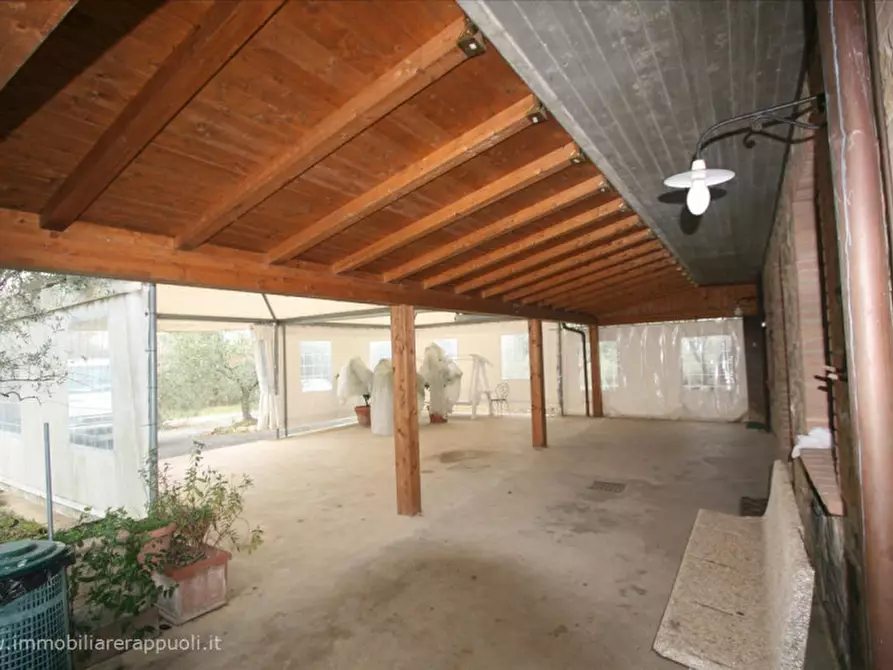 Immagine 3 di Rustico / casale in vendita  a Sinalunga