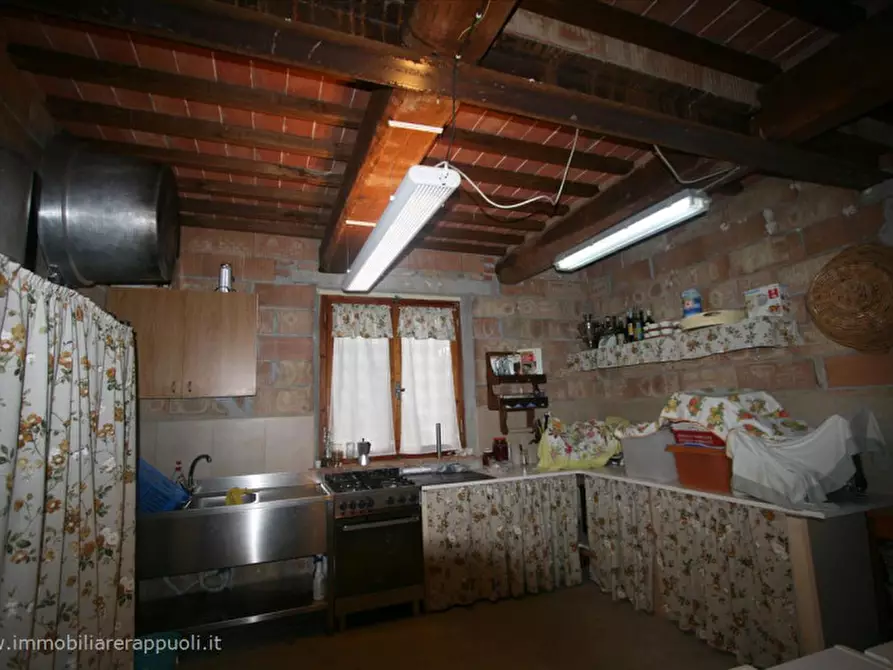 Immagine 8 di Rustico / casale in vendita  a Sinalunga