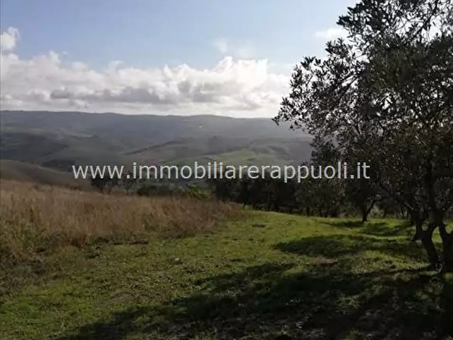 Immagine 2 di Attività commerciale in vendita  a San Casciano Dei Bagni