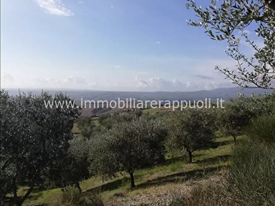 Immagine 3 di Attività commerciale in vendita  a San Casciano Dei Bagni