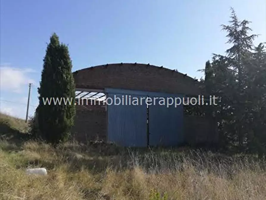 Immagine 4 di Attività commerciale in vendita  a San Casciano Dei Bagni