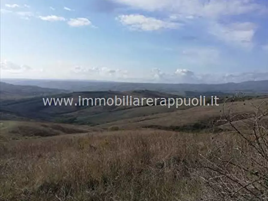 Immagine 5 di Attività commerciale in vendita  a San Casciano Dei Bagni