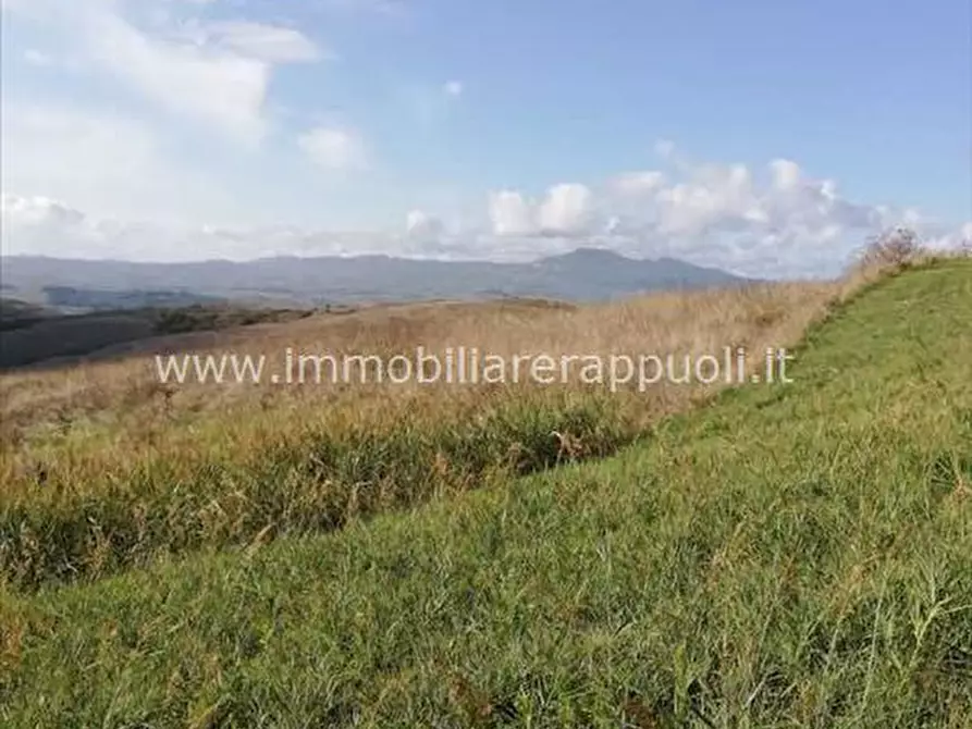 Immagine 6 di Attività commerciale in vendita  a San Casciano Dei Bagni