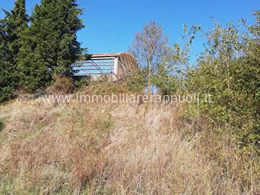 Immagine 7 di Attività commerciale in vendita  a San Casciano Dei Bagni