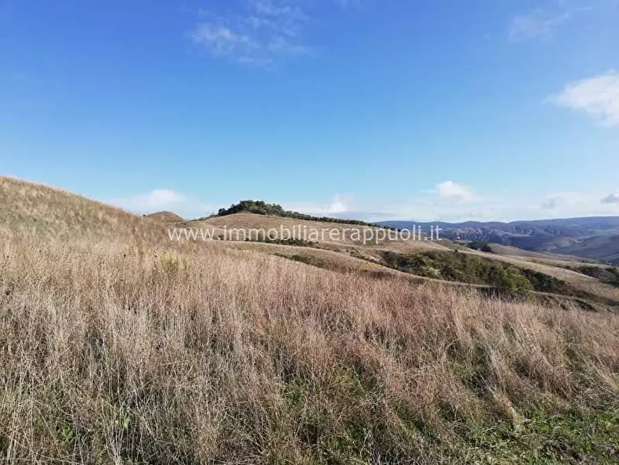Immagine 8 di Attività commerciale in vendita  a San Casciano Dei Bagni