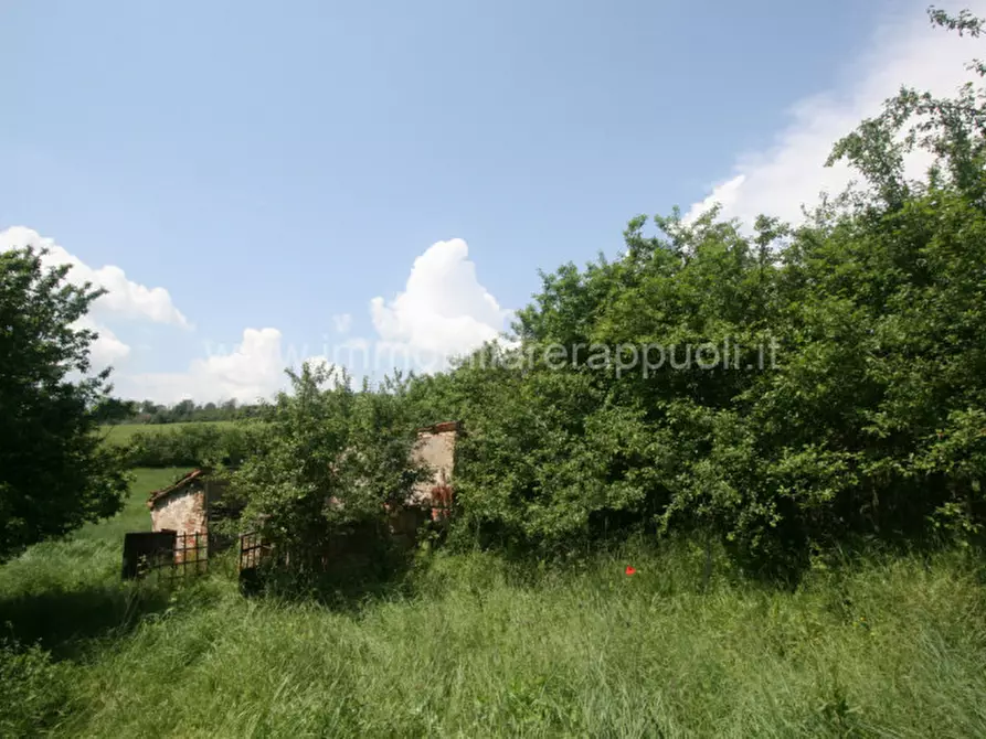 Immagine 3 di Rustico / casale in vendita  a Torrita Di Siena