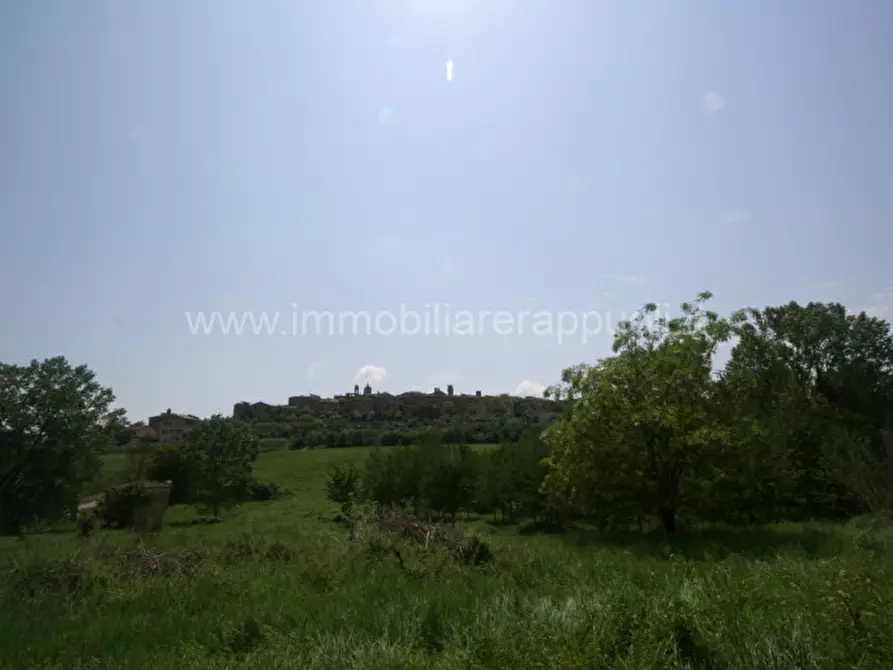 Immagine 6 di Rustico / casale in vendita  a Torrita Di Siena