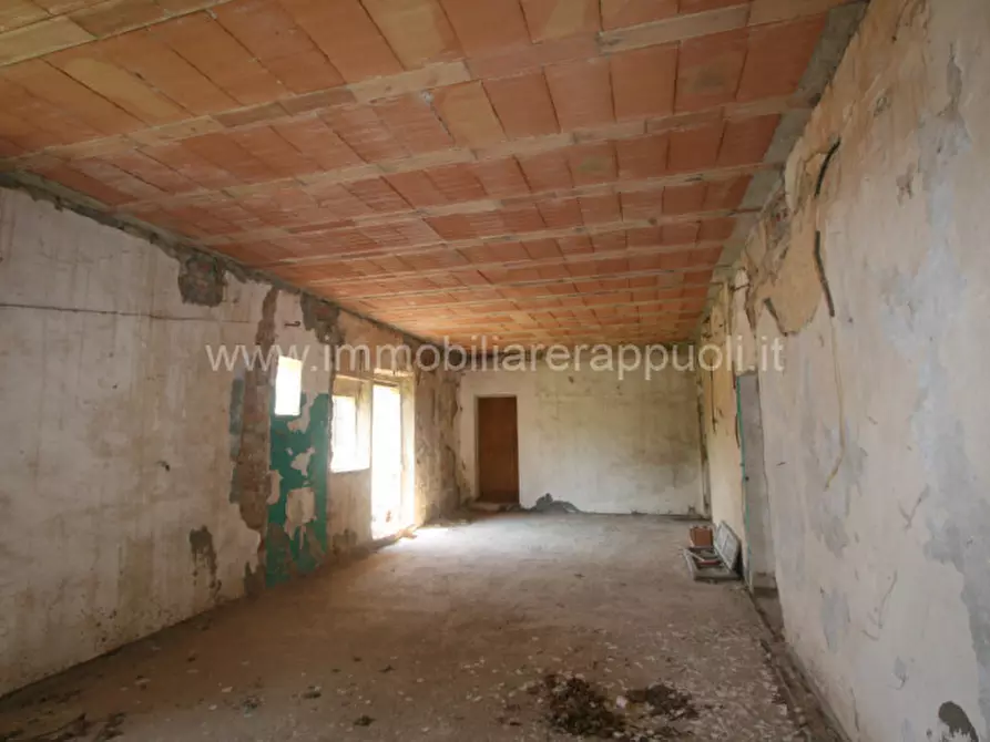 Immagine 9 di Rustico / casale in vendita  a Torrita Di Siena