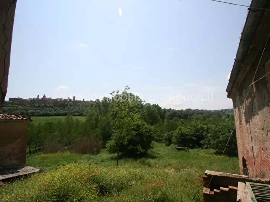 Immagine 10 di Rustico / casale in vendita  a Torrita Di Siena