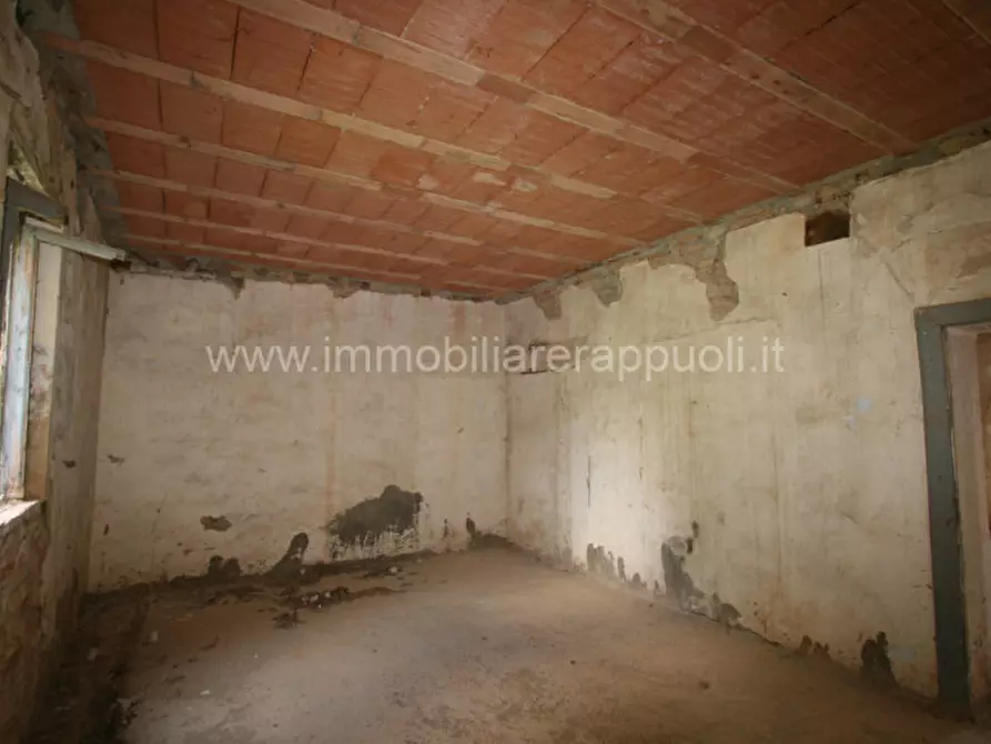 Immagine 11 di Rustico / casale in vendita  a Torrita Di Siena