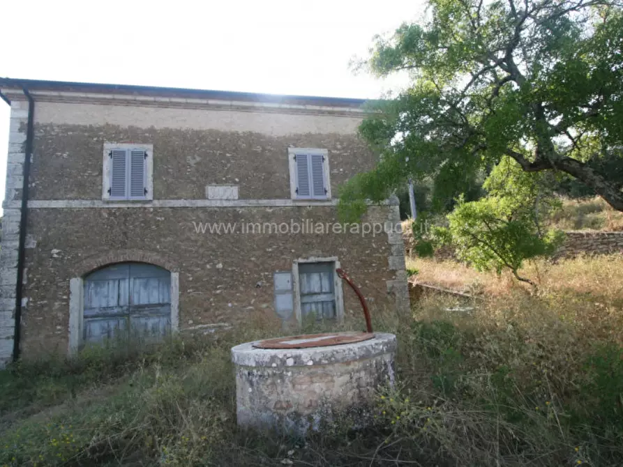 Immagine 2 di Rustico / casale in vendita  a Rapolano Terme