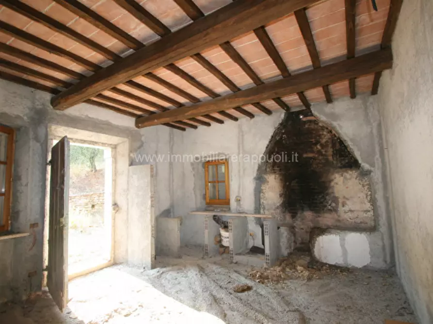 Immagine 3 di Rustico / casale in vendita  a Rapolano Terme