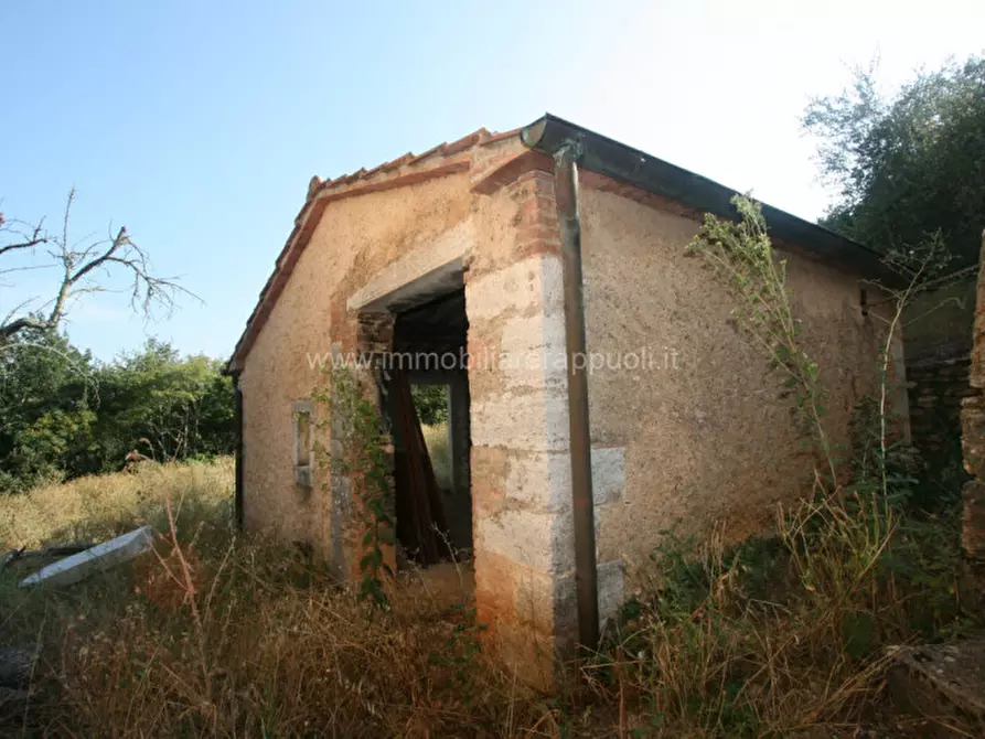Immagine 5 di Rustico / casale in vendita  a Rapolano Terme