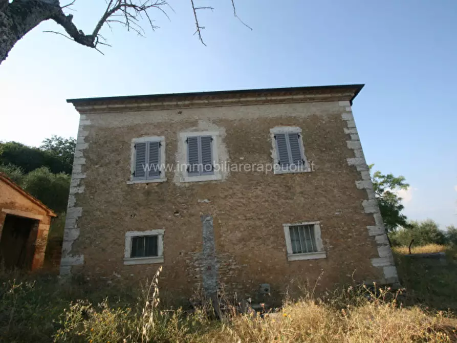 Immagine 7 di Rustico / casale in vendita  a Rapolano Terme