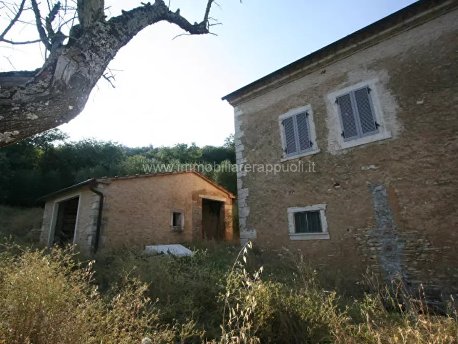 Immagine 8 di Rustico / casale in vendita  a Rapolano Terme