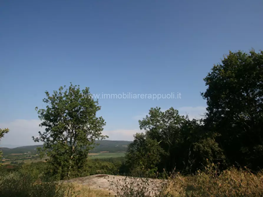 Immagine 9 di Rustico / casale in vendita  a Rapolano Terme