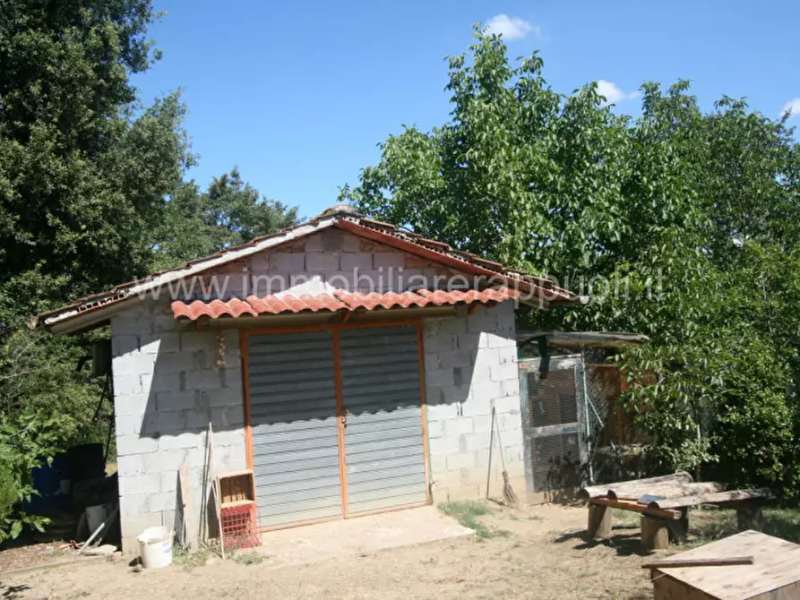 Immagine 2 di Rustico / casale in vendita  a Sinalunga